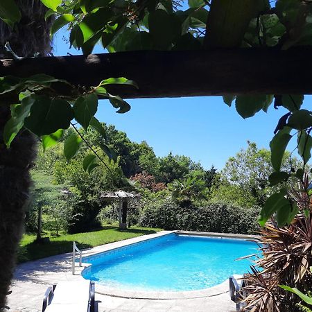 Villa Quinta De Ribas Amarante Exterior foto
