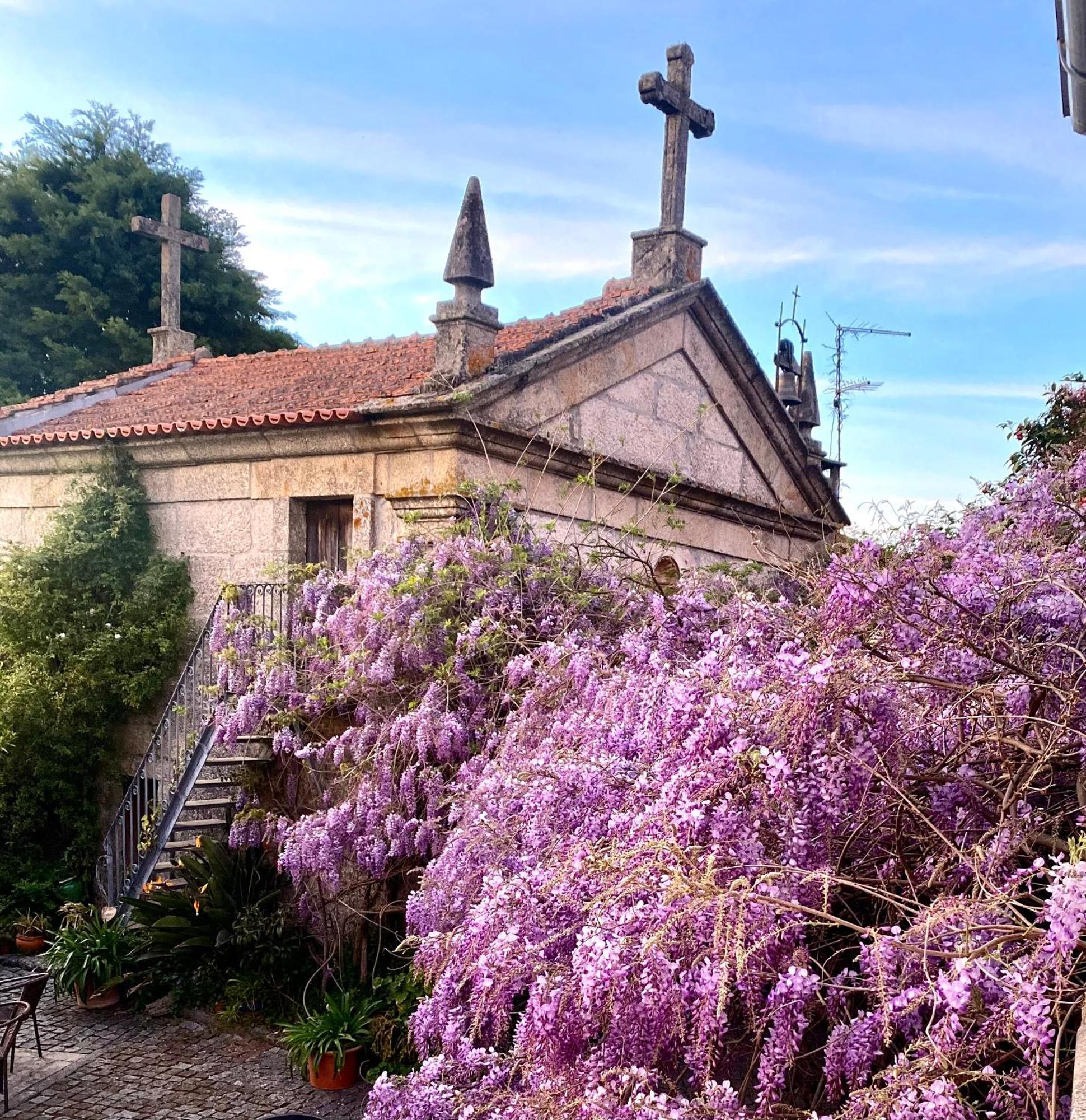Villa Quinta De Ribas Amarante Exterior foto