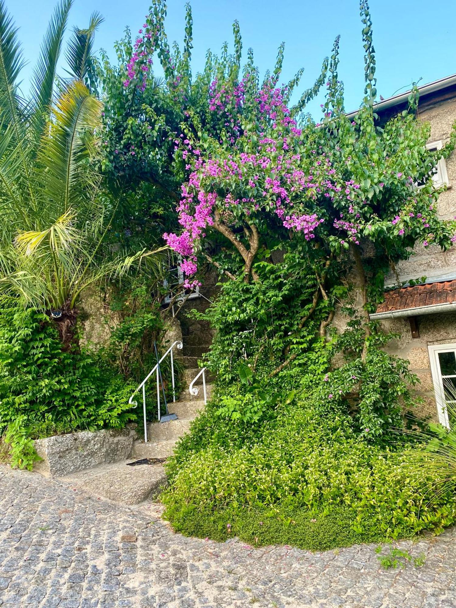 Villa Quinta De Ribas Amarante Exterior foto